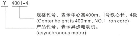 西安泰富西玛Y系列(H355-1000)高压YJTFKK4002-8三相异步电机型号说明